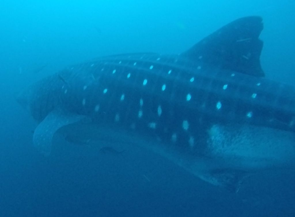 41356237-68a0-4710-bd4e-819ad22a0a70