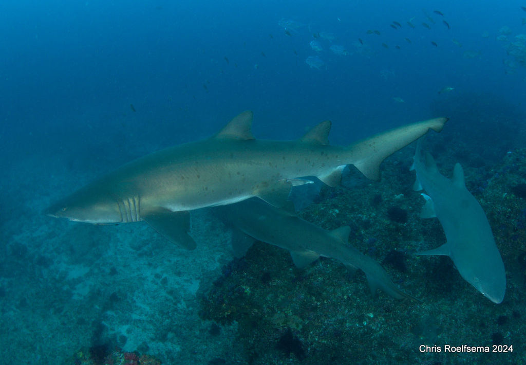 75e921fa-f056-4fce-bd79-986d7184fdbf