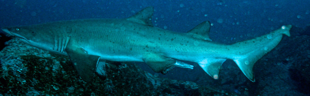 9e304010-448f-491e-be3f-ee242bc1ef97