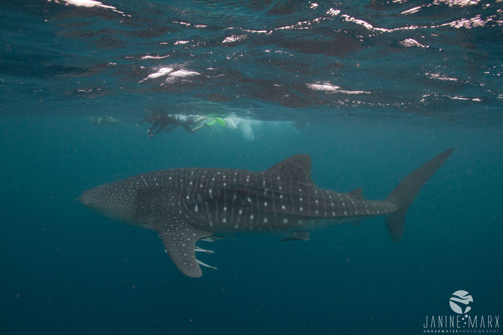 7f7ed114-9214-437f-9a00-7a425c4c25d0