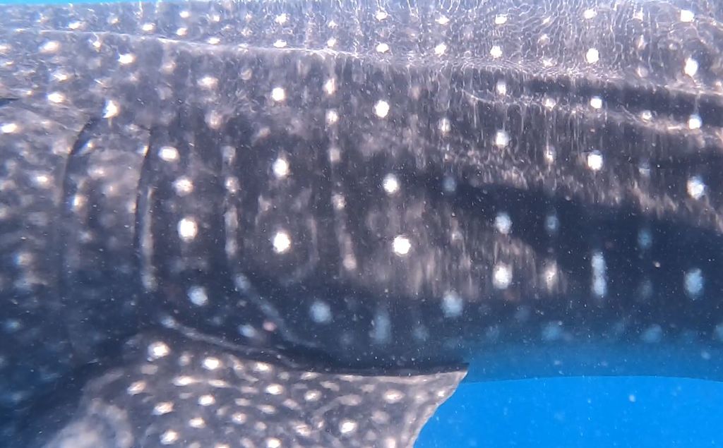 9660eb02-3991-4d96-937f-5fcb86f30a44