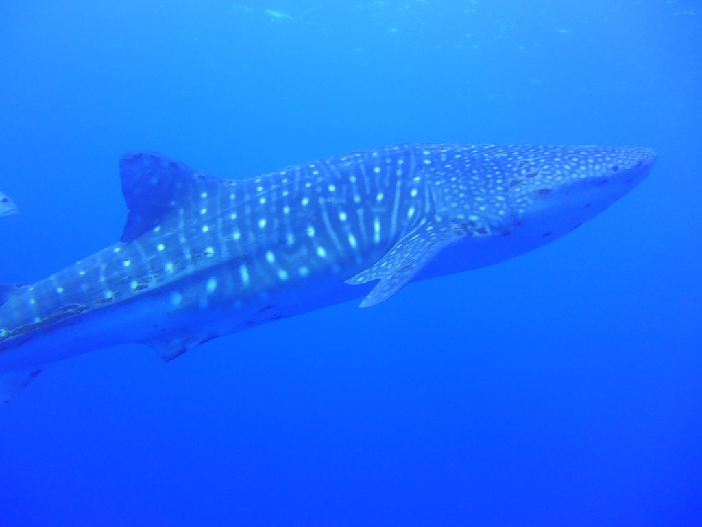 247b8d1b-9a4b-461c-9f43-2d69d30bc1ce