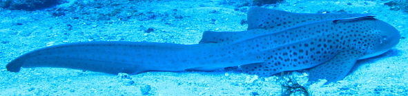 7c7d9bba-bc79-4879-a4dc-0e21813a2afb