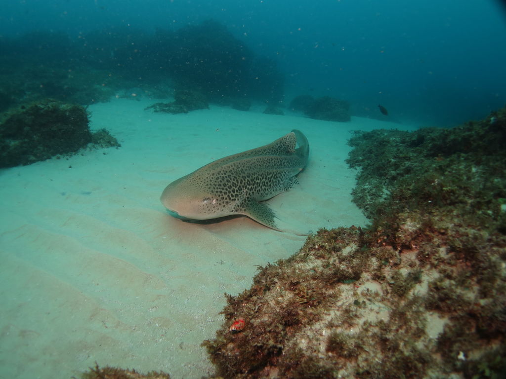 85f7f18c-ff2b-42ec-ba3b-1a5abc4a586d