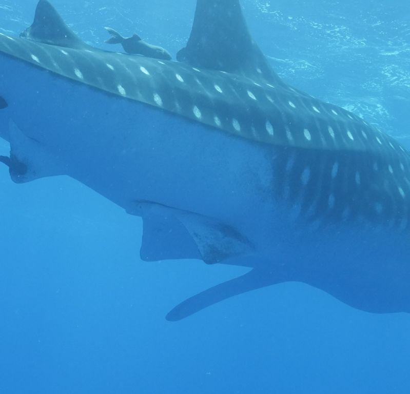 7344d7a0-8df7-4da5-a4eb-5da797e90b5b