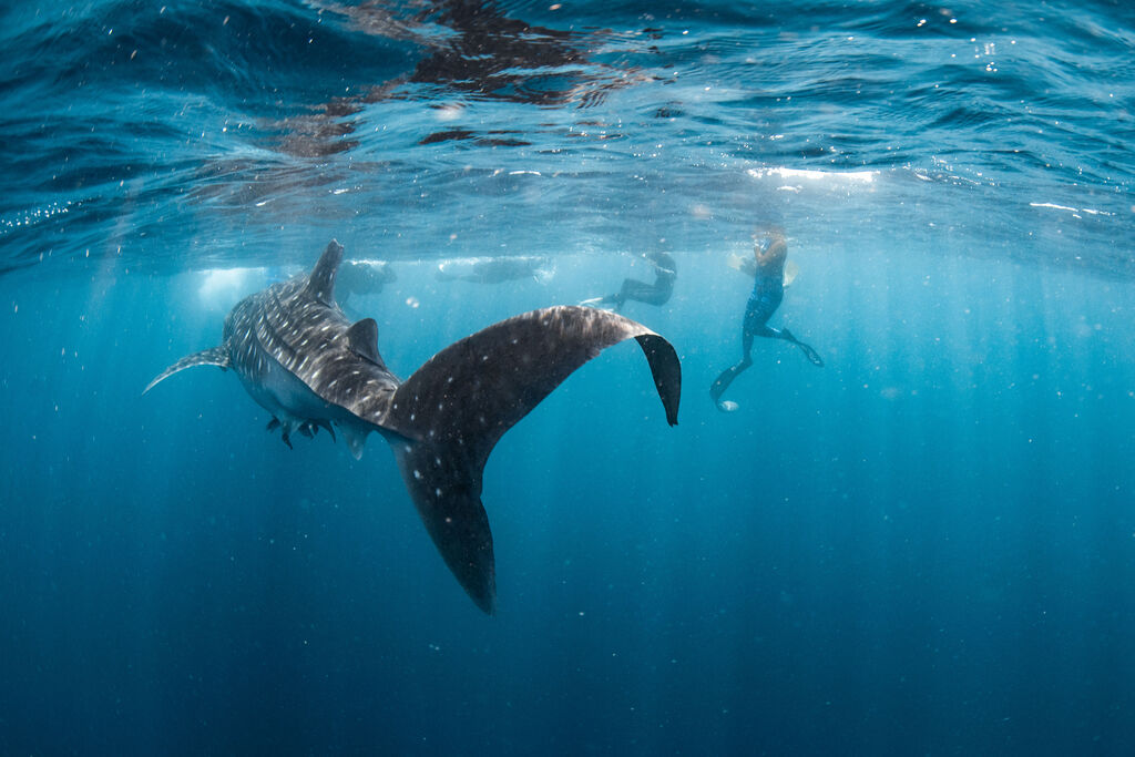 d79a75e6-cb20-40e0-8c43-8896100d255d