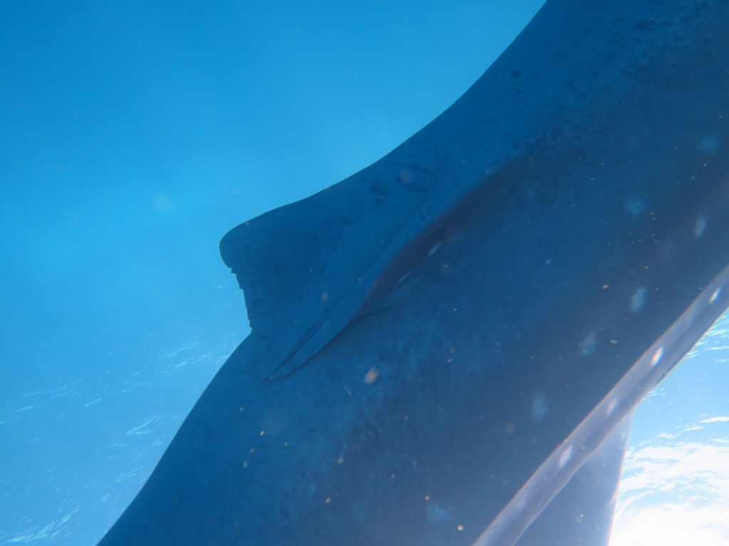 f36eb25d-52f0-4ce1-b3ce-670940a3129a