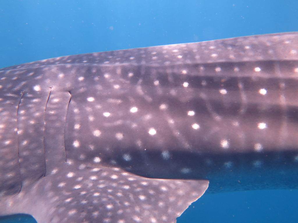 f36eb25d-52f0-4ce1-b3ce-670940a3129a