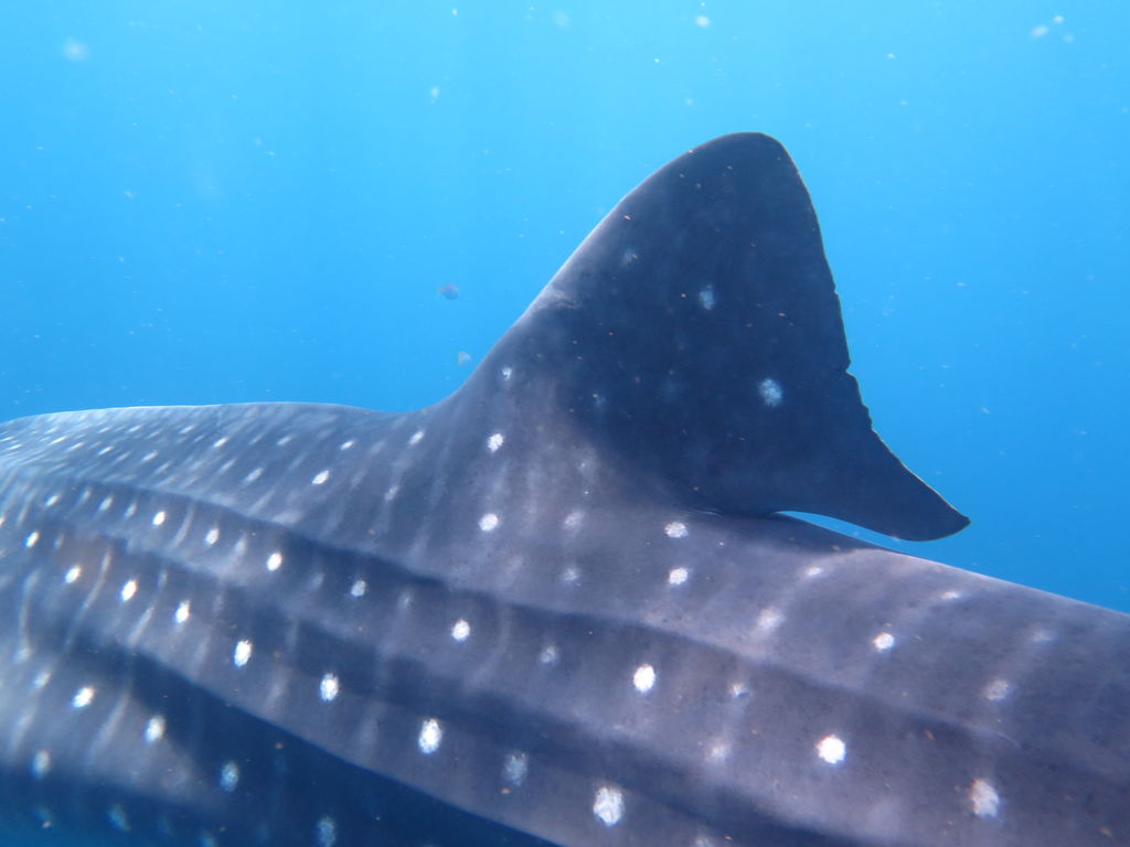 f36eb25d-52f0-4ce1-b3ce-670940a3129a