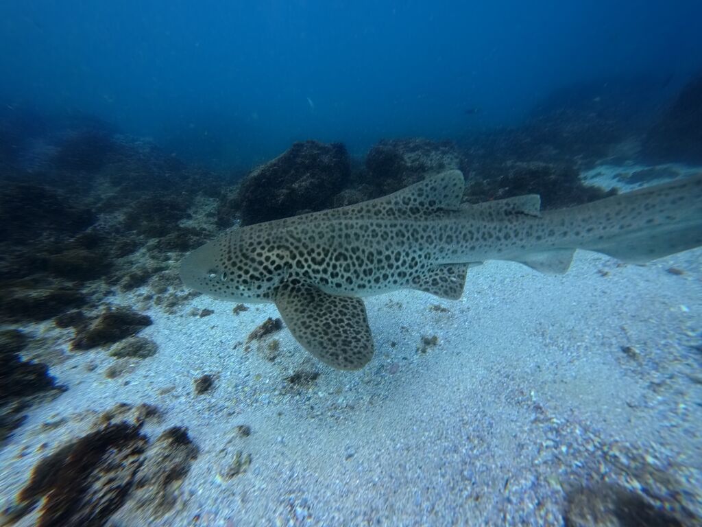 c2ca79fb-1eda-4564-9fc8-e95ecaa9609b