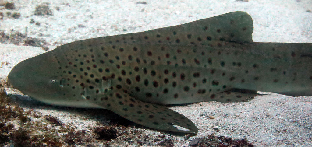 a1766b3b-49b5-4a7f-ad27-6dcb392c32fa