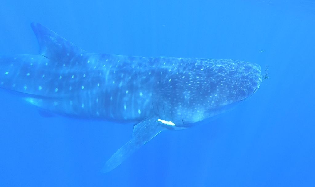 c575e251-24dc-471d-a02f-a911b7c4f9c5