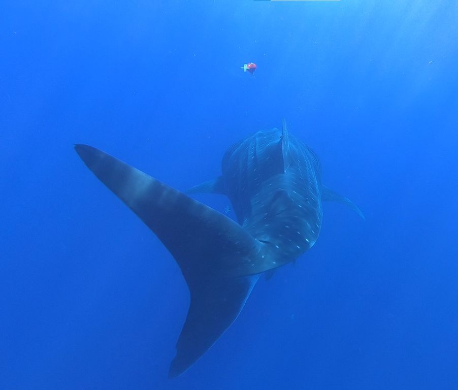 c575e251-24dc-471d-a02f-a911b7c4f9c5