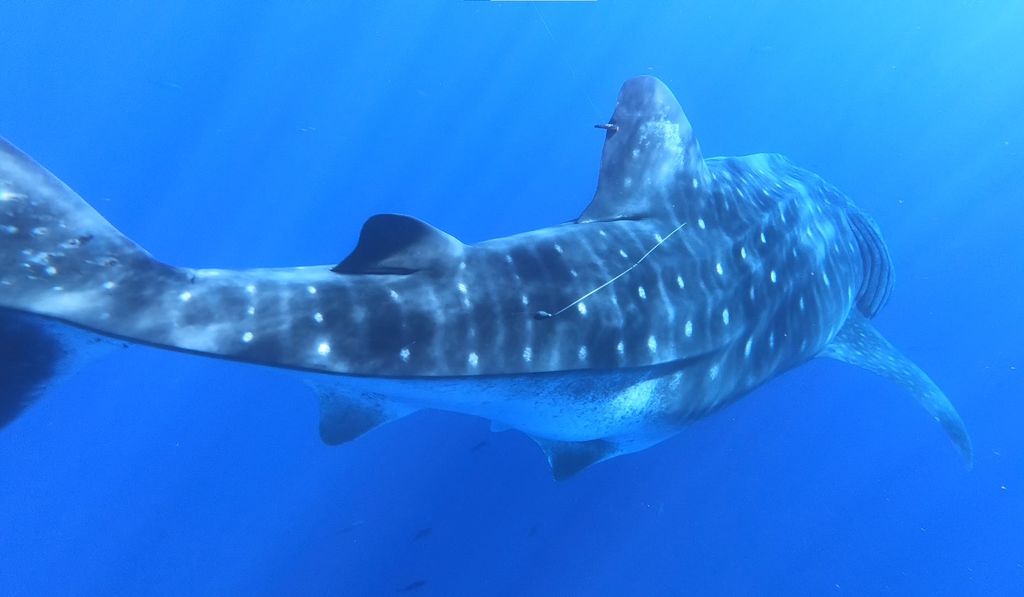 c575e251-24dc-471d-a02f-a911b7c4f9c5