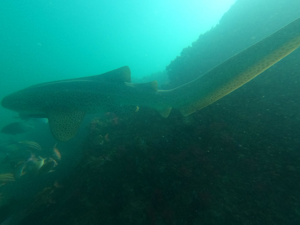 ff736dd6-8ee8-4625-9f24-9a69bb8a5391