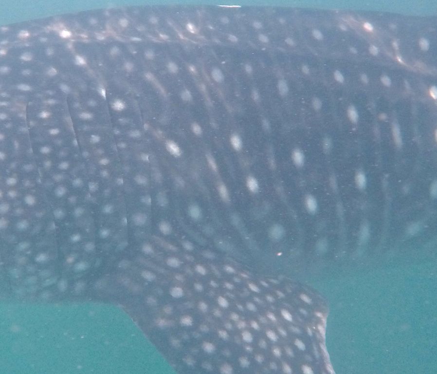 0787d9d3-a1d5-453e-9108-604d99e4027d