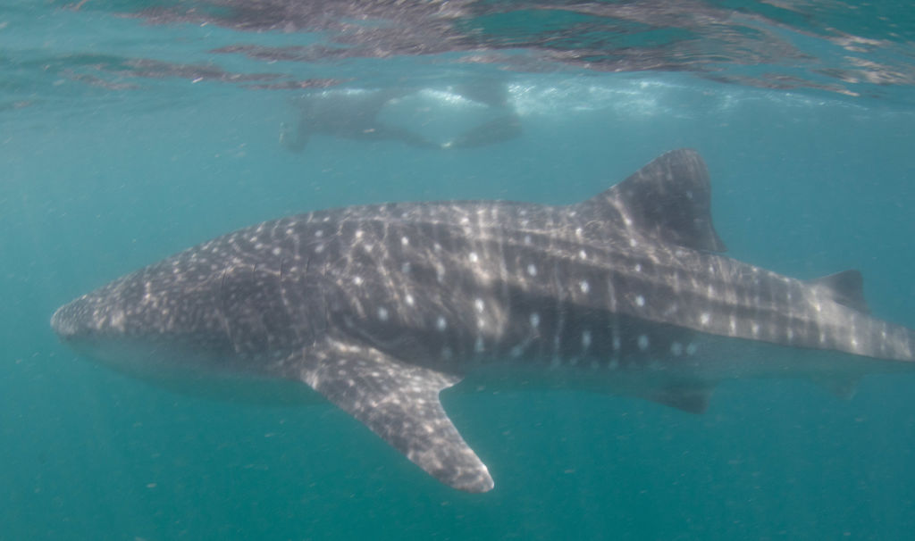 f035808a-9bda-44ce-903a-5269916c3639