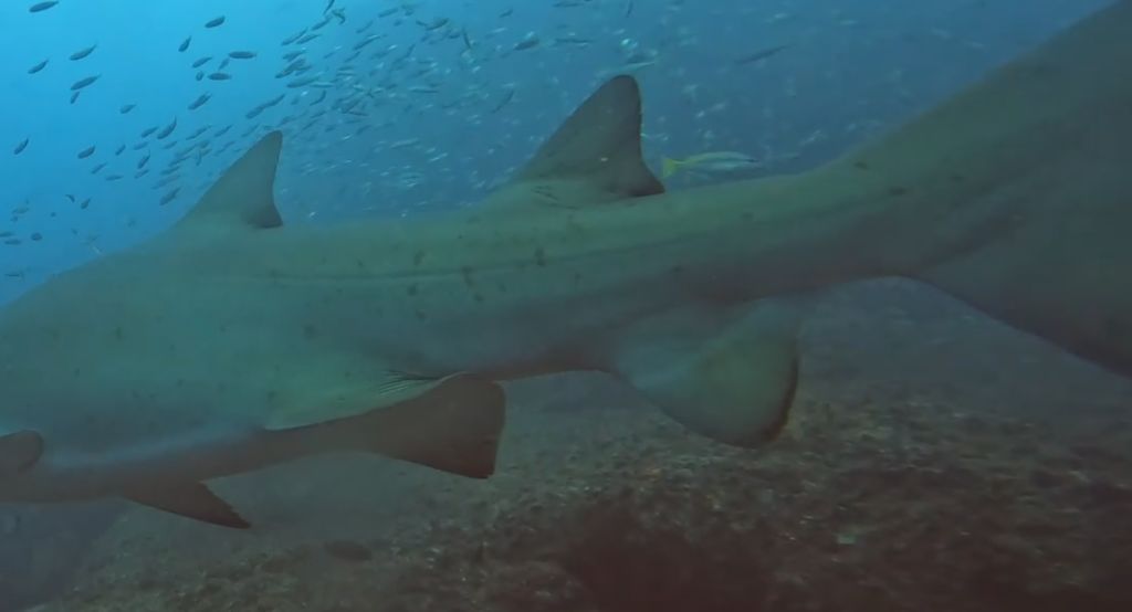 55c37906-9d5b-4bd9-8831-91845c9a6ddf