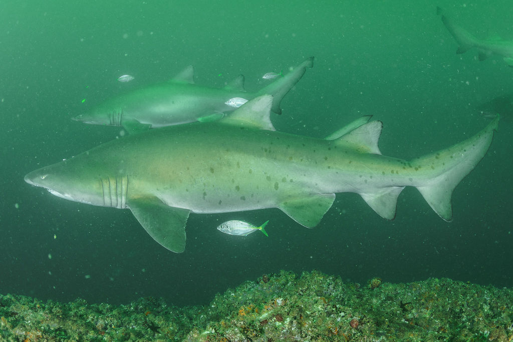 7ab15ecc-c383-4194-8826-eaaa86404d55