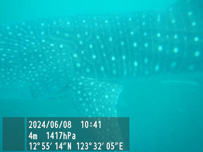 8b25e534-c126-4571-9055-226da73c5ff0