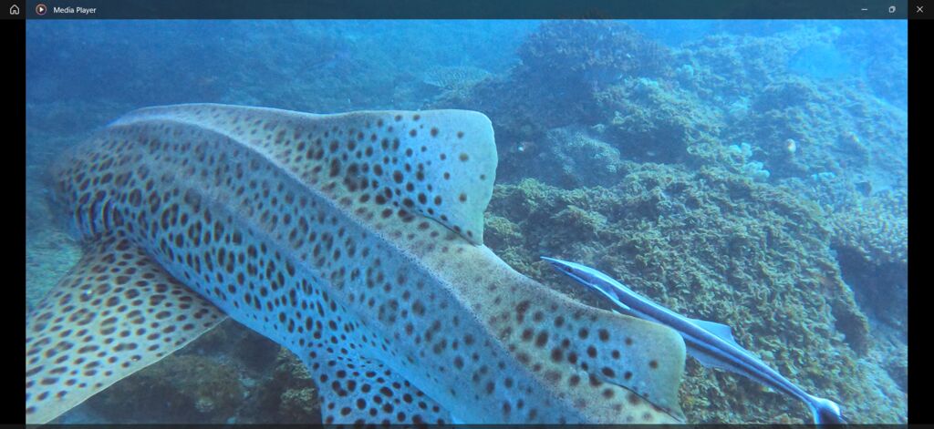 0d820d57-b88f-417d-851f-89fdb598a30c