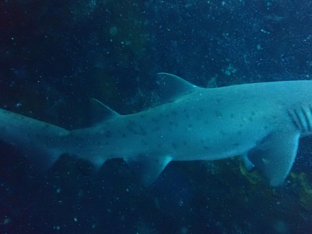 60b8cc4f-00cc-4276-aca1-e24da799cdb7