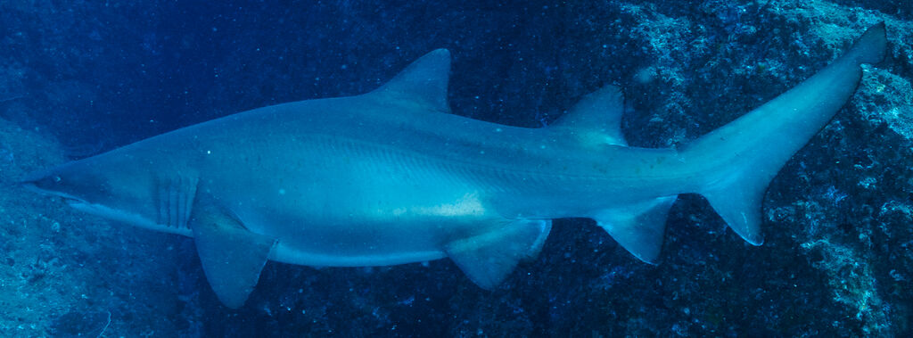 8d2b766d-0346-4903-8bf4-c7d50d9ccec4