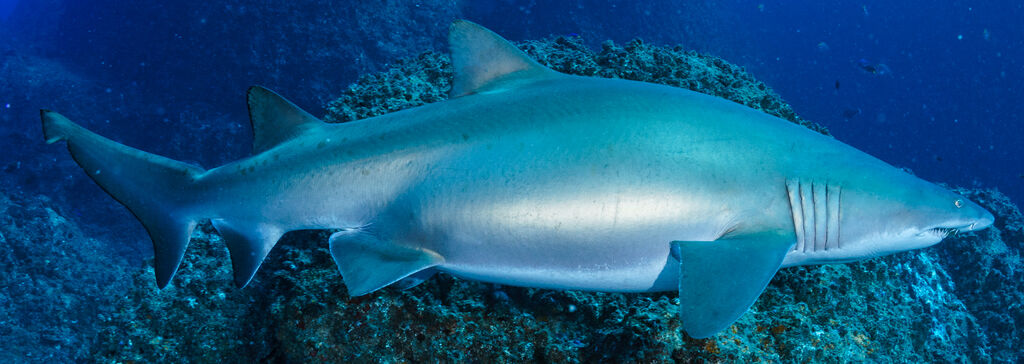 8d2b766d-0346-4903-8bf4-c7d50d9ccec4