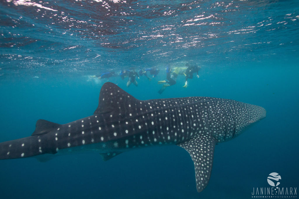 40a8cde8-d151-484f-aab3-53b966249115