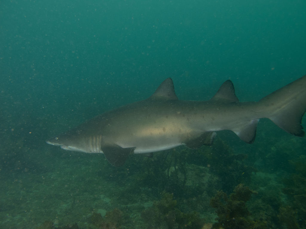 b76134eb-cd40-4150-b601-9d9a5445a540