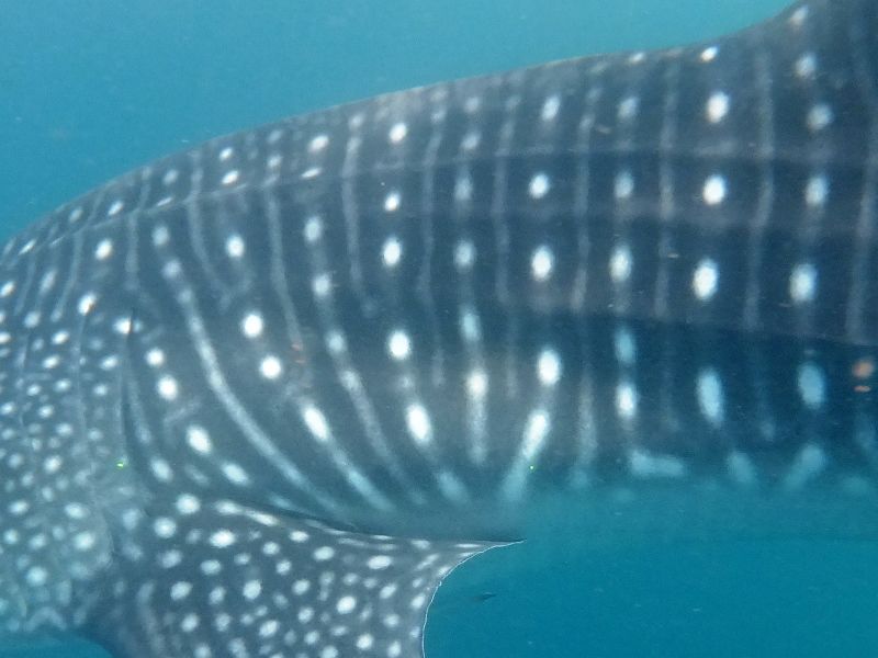 77847a24-dbfc-4b32-b229-1b6b74da0d8d