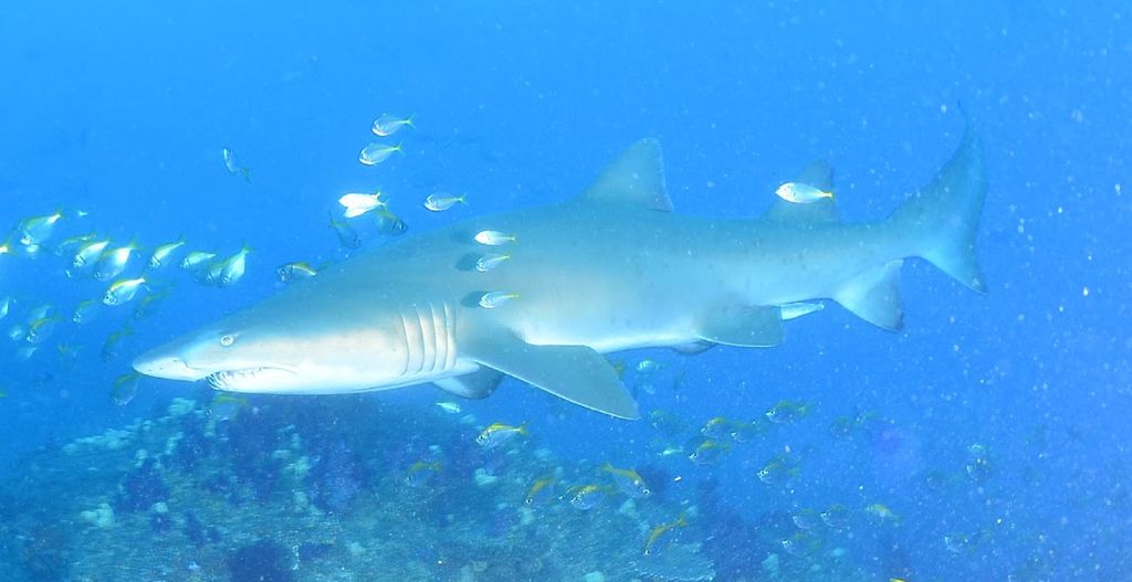 dcfd9883-fffd-41ca-8612-9e57df884228