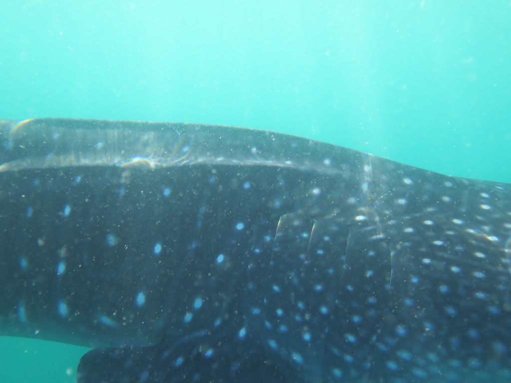 fd3c3649-32bb-4bcf-835c-414bf82919f2