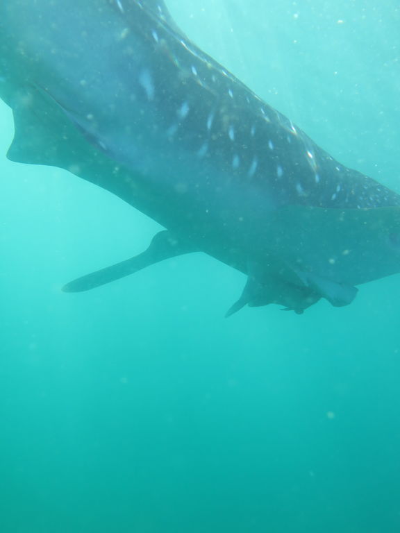 fd3c3649-32bb-4bcf-835c-414bf82919f2