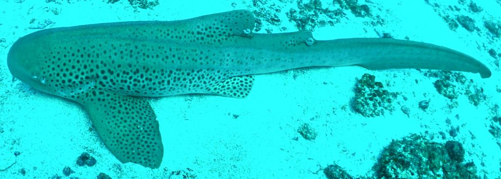 ff8f6f5f-507a-49e9-ab6c-4195df751998