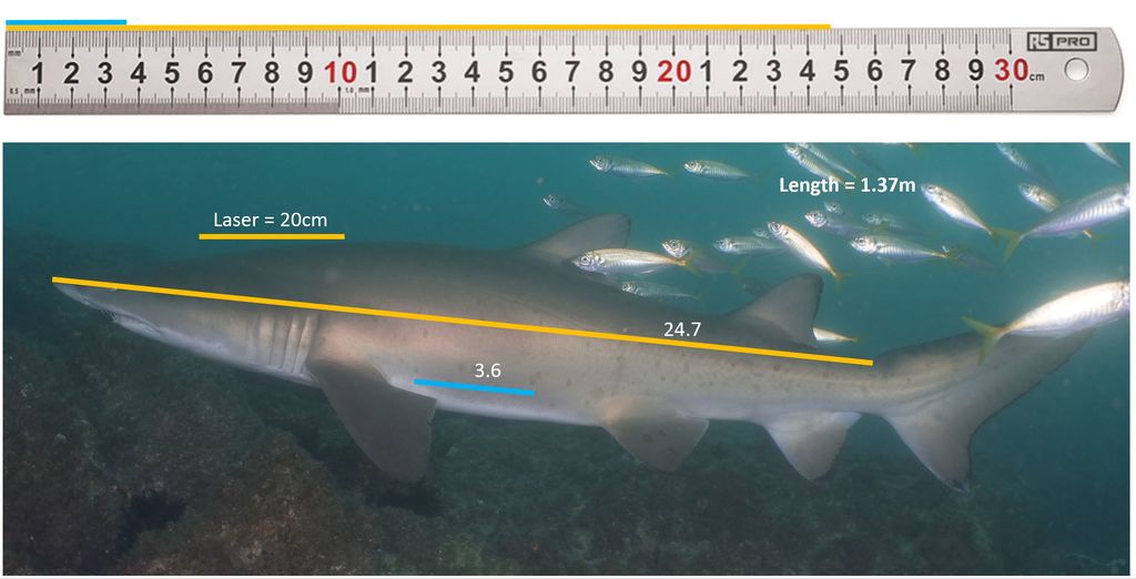 199f02c8-0dfc-480f-b442-89c6711c7554