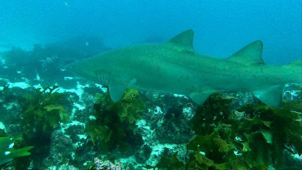 d394f46c-205e-4999-8e64-b6e94b75d4c9