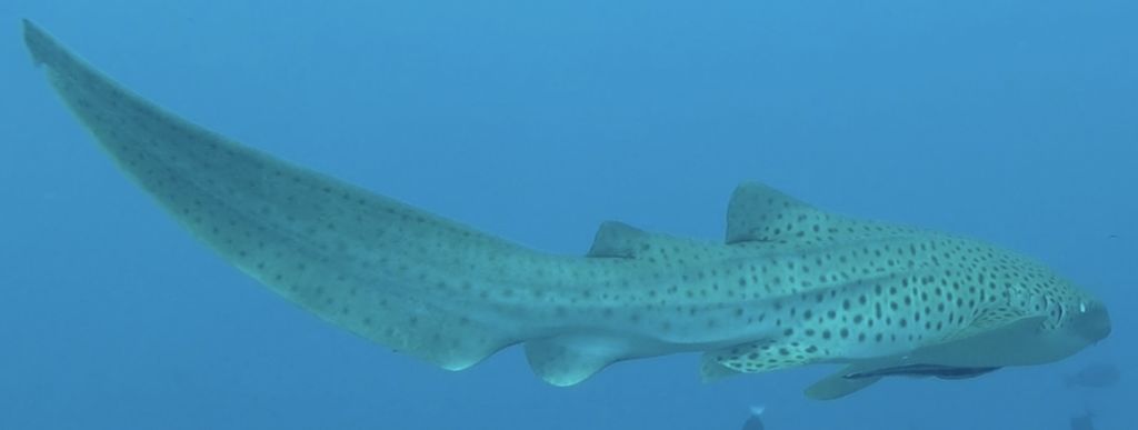 a2563952-ddc4-4076-bf02-ed861fe13b88