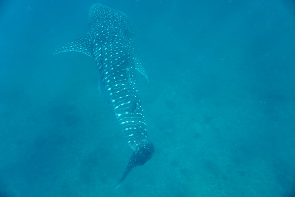 37c75a41-4050-4c49-b0f6-0f66c1a65434