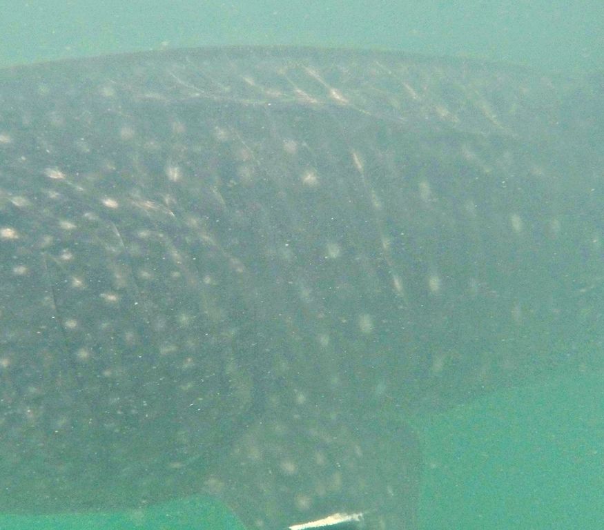 8a003f84-285e-431d-b32a-0e477fc367fd