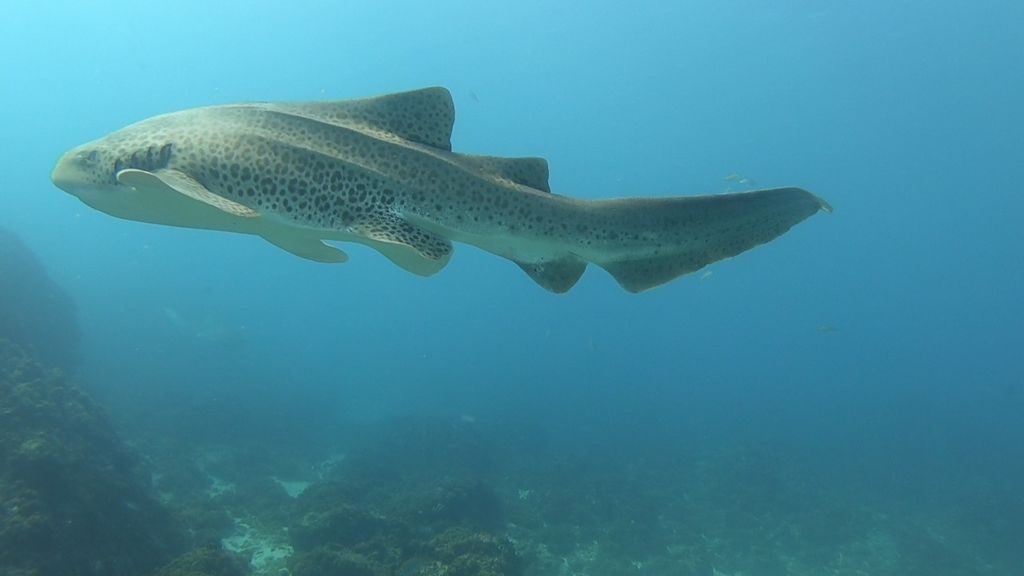 ecb95f7a-bff3-4fee-93f7-96b728648e2e