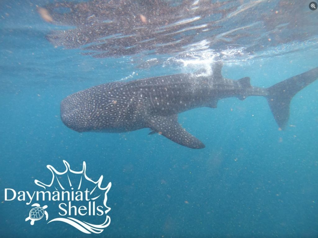 8825e0a2-836e-47c4-a88a-e1a31f75cb38