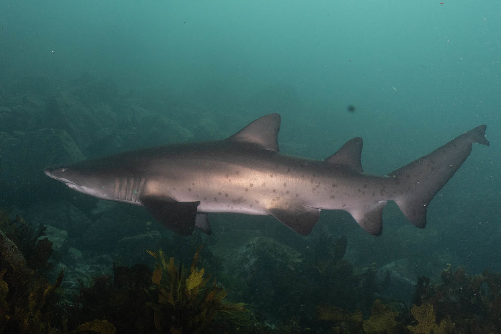 79e877b6-09cd-4d3e-ad1a-dd4347172f8e