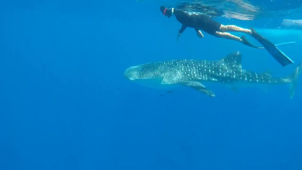 1f9fc16c-f76d-428b-82e3-f7e180c1bb84