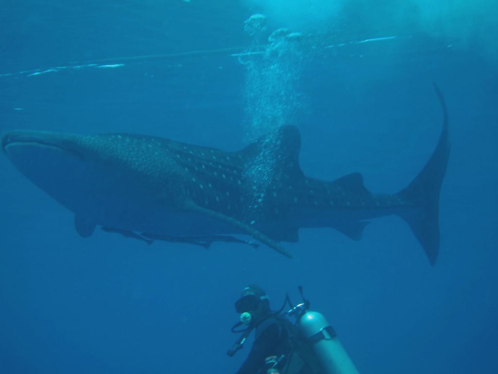 017a9fb6-bb2c-4353-aa4d-626c42c61671