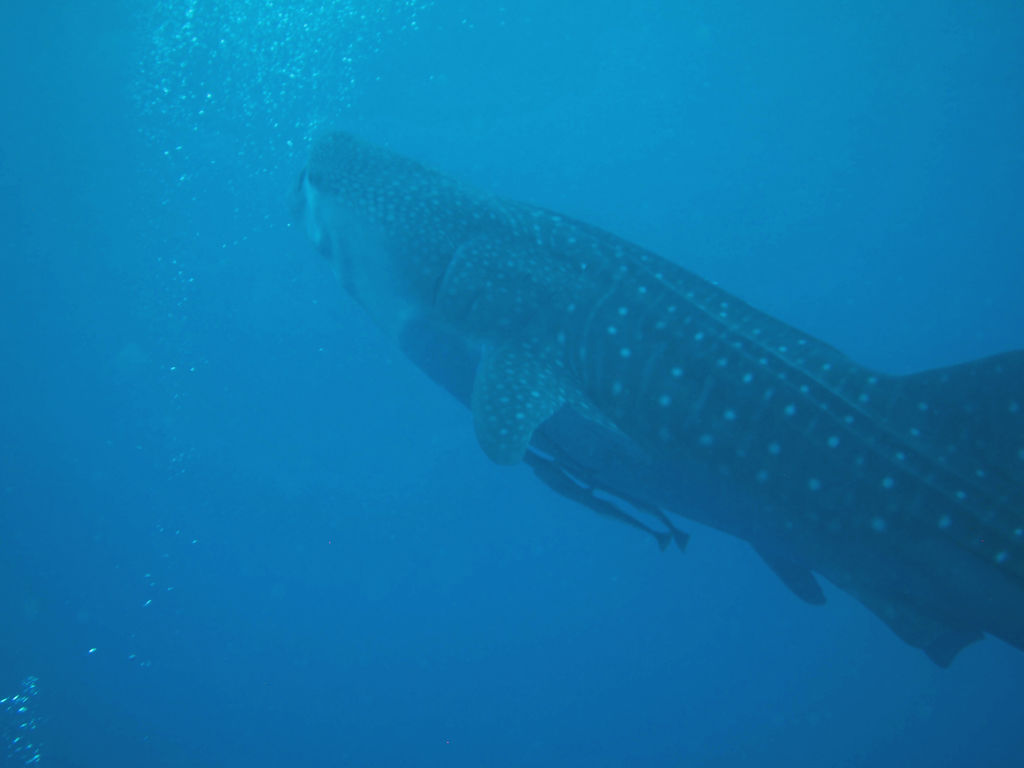 017a9fb6-bb2c-4353-aa4d-626c42c61671