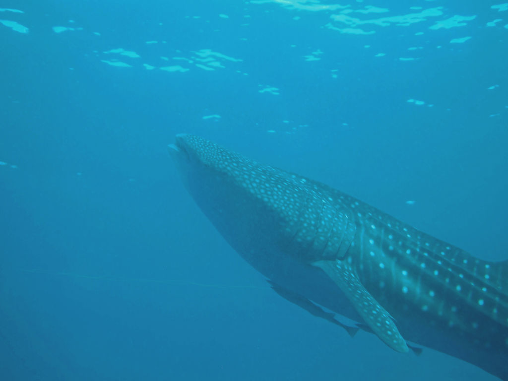 017a9fb6-bb2c-4353-aa4d-626c42c61671