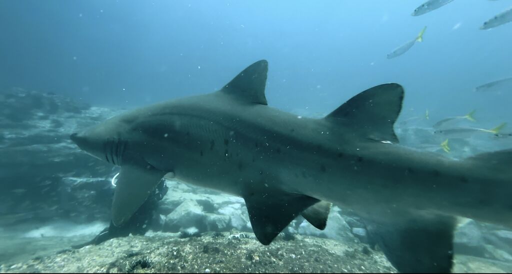 04c0b7e4-0600-4892-b545-8c6d292a8853