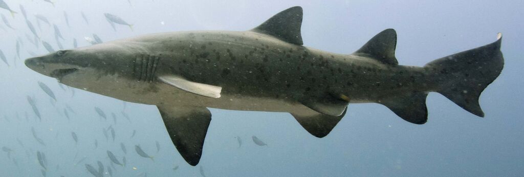 b3470b8e-3c8b-4e3f-99e7-dbc2b54b25d7