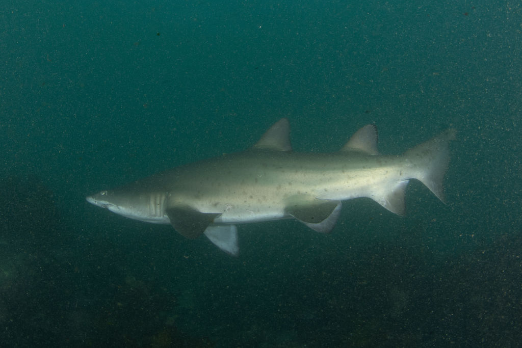 f52bab40-9978-4732-8360-43c0b16a9437